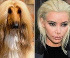 Kim Kardashian Goes Platinum Blonde: Fans Create Hilarious Memes