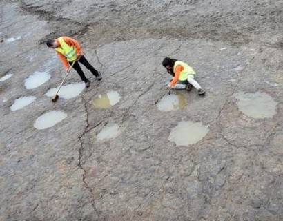 Giant dinosaur footprints found in German quarry