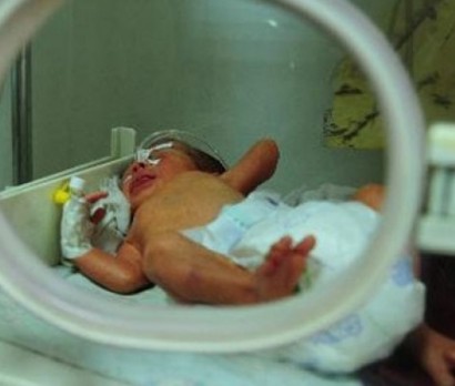 Horrific: Newborn baby dies after rats eat his fingers, legs, and left eye inside hospital incubator