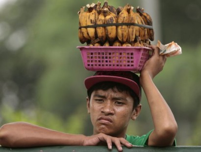 «Панамская болезнь» может привести к полному исчезновению бананов
