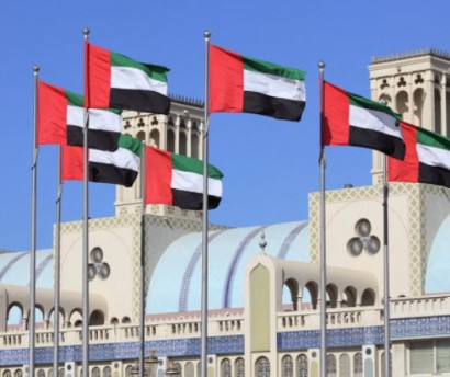 UAE says ready to send ground troops to Syria