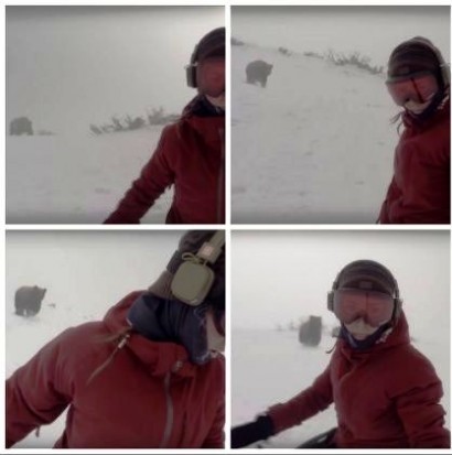 Сноубордистка не заметила, как сняла гнавшегося за ней медведя — видео