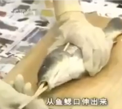 Ինչպես են Ճապոնիայում զույգ փայտիկներով մաքրում ձուկը