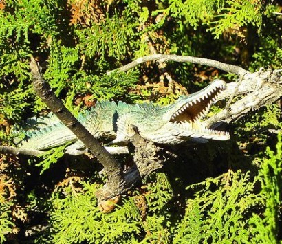 Ученые раскрыли страшную тайну крокодилов лазающих по деревьям
