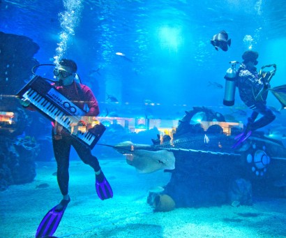 Подводная музыка: концерт в бассейне