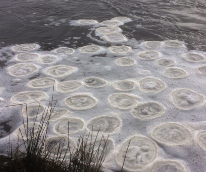 На реке Спей в Шотландии появился необычный блинчатый лед