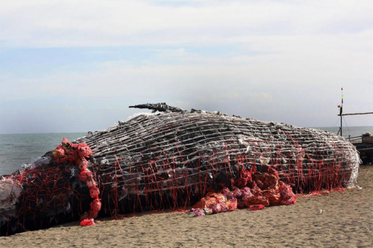 Օվկիանոսից հավաքված աղբից պատրաստվել է սատկած կետի խորհրդանշական քանդակ