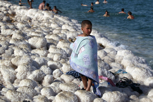 Покрывшиеся солью камни на побережье Мёртвого моря, 11 апреля 2012 года.