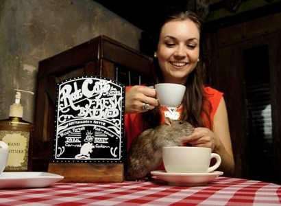 Кофе с грызунами: экстрим для американских туристов