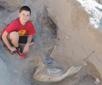 10 year-old trips into million-year-old dinosaur fossil discovery in New Mexico