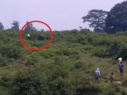 На YouTube появилось видео, как в Индии слон до смерти затоптал любителя селфи