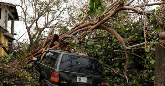 Число жертв урагана "Мария" на Карибах достигло уже 32 человек