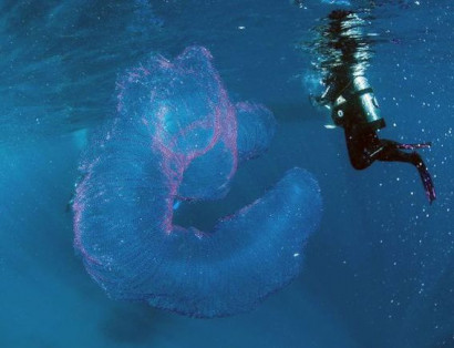 Near the coast of Australia found a strange tubular substance