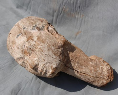 В Египте нашли 4-тысячелетнюю голову деревянной статуи