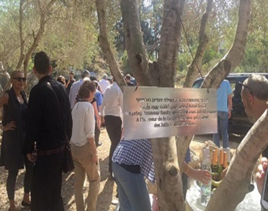 В Израиле в честь Азнавура посадили оливковое дерево