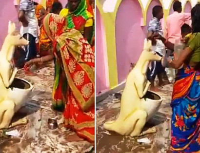 Dustbin devotion: Viral video shows women worshipping a kangaroo-shaped trash can