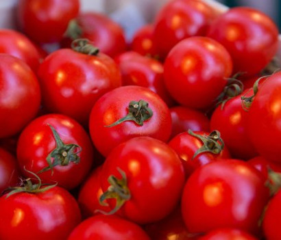 В Россию не пустили 18 тонн азербайджанских помидоров
