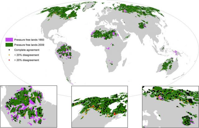 Որքանով է կրճատվել կուսական անտառների տարածքը 1990-ականներից ի վեր
