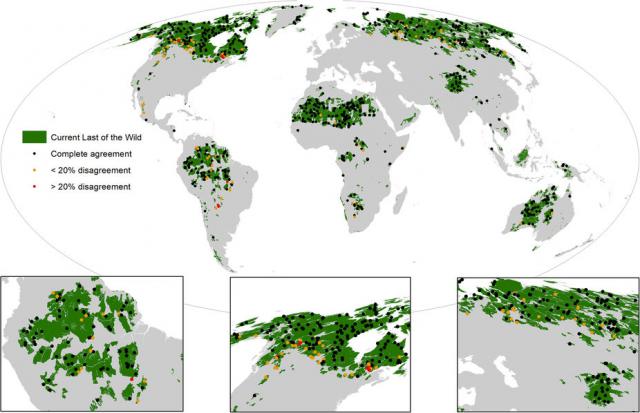 Որքանով է կրճատվել կուսական անտառների տարածքը 1990-ականներից ի վեր