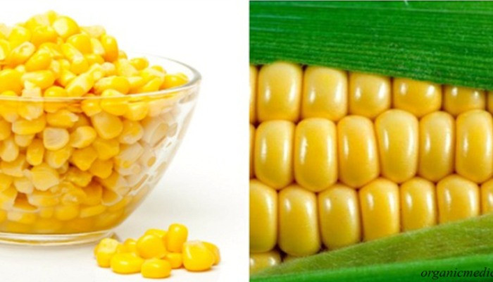 6 убедительных причин больше никогда не есть кукурузу