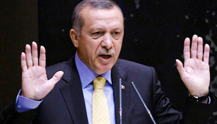Эрдоган: «Нам не нужны чужие земли»