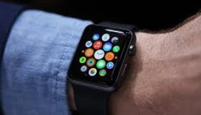 Instagram app disappears from Apple Watch
