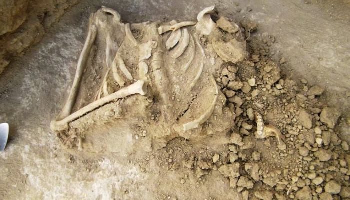 Հին Հայաստանում մի շատ հետաքրքիր ծես կար, որի ժամանակ բացում էին մի գերեզման ու հանում հանգուցյալի գանգը. Archaeology of Armenia