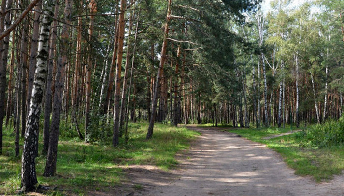 Կորած քաղաքացին հայտնաբերվել է Սարատովկա գյուղին հարակից անտառում