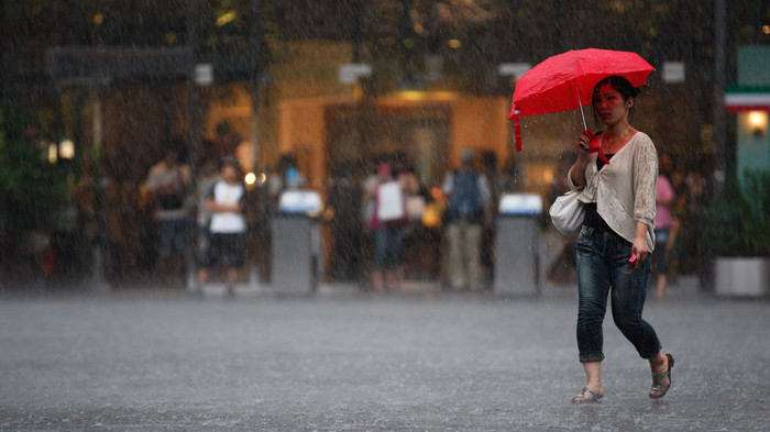 Число погибших из-за ливневых дождей в Японии достигло 46 человек