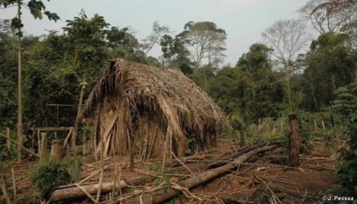 В Бразилии показали последнего индейца из уничтоженного племени