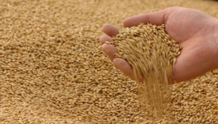 Վրացական երկաթուղին Հայաստան ներկրվող ցորենի համար զեղչային համակարգ կկիրառի