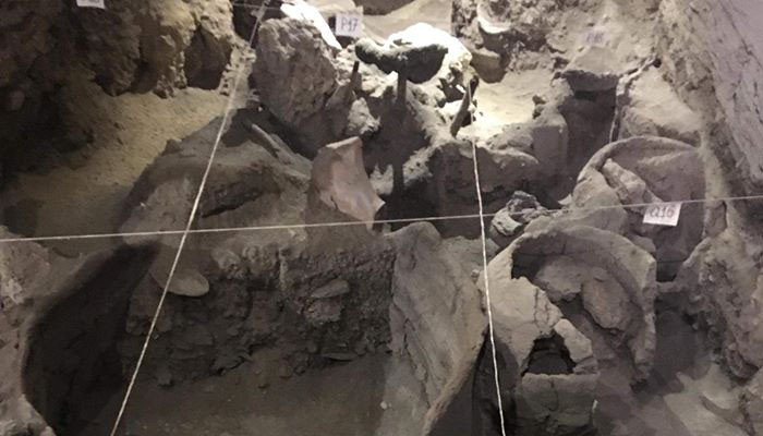 Արենիում պեղումների արդյունքում հայտնաբերվել են մ.թ.ա 4200-3500 թվականներին վերագրվող բազմաթիվ գտածոներ