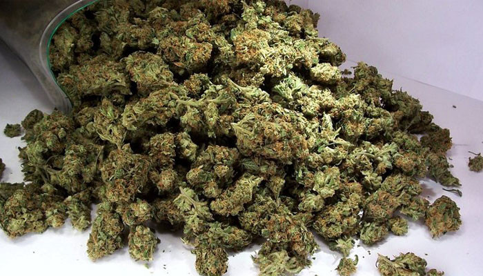 Власти Грузии решили отложить вопрос экспорта марихуаны