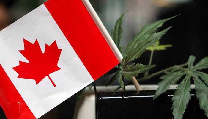 В Канаде выписали первый штраф за неправильное употребление марихуаны