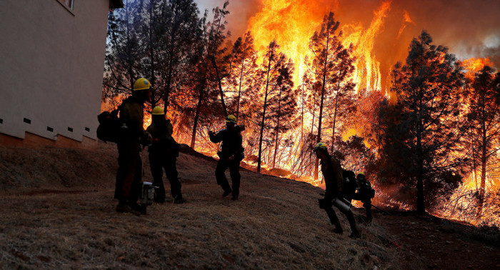 Число погибших из-за лесных пожаров в Калифорнии возросло до 31