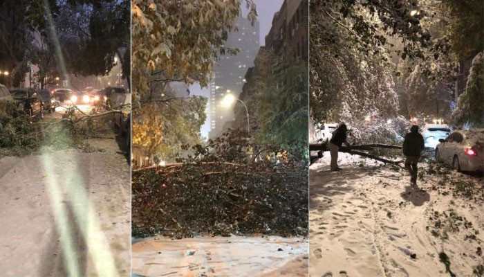 NYC weather: 1st snow of the season hits the 5 boroughs