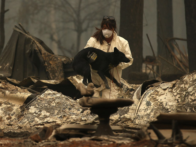 Քալիֆորնիայի անտառային հրդեհներ. 63 զոհ, 600-ից ավելի անհետ կորած