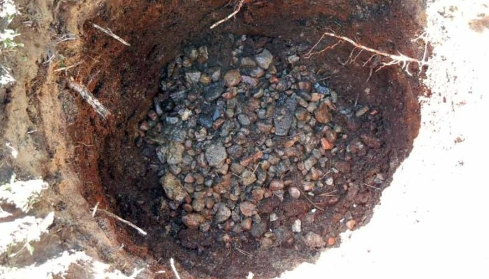 Тела двух маленьких детей нашли в компостной яме в Удмуртии