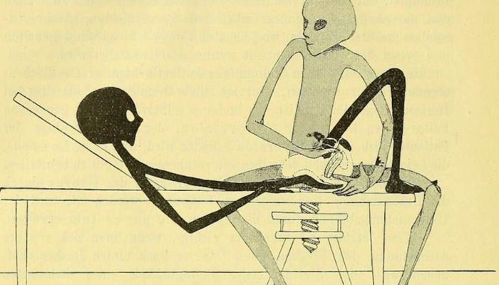 Gynecological Exams In 1895 Will Make You Glad For Modern Healthcare