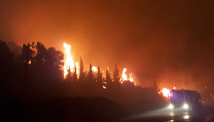 İzmir'de otluk alanda çıkan yangında 2 otel tahliye edildi