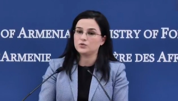 Анна Нагдалян: Некоторые дипломаты, предпочитающие общение в социальных сетях, получили устные замечания