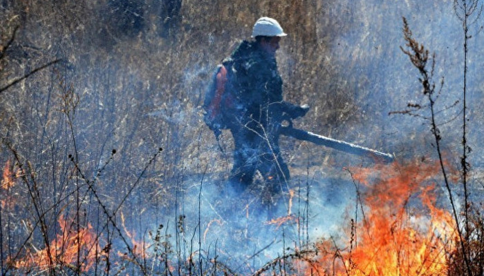 В Иркутской области из-за лесных пожаров введён режим ЧС