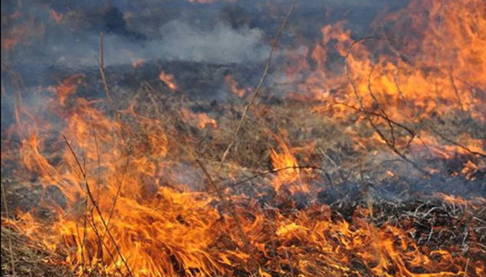 Пожары в Красноярском крае не тушат из экономии