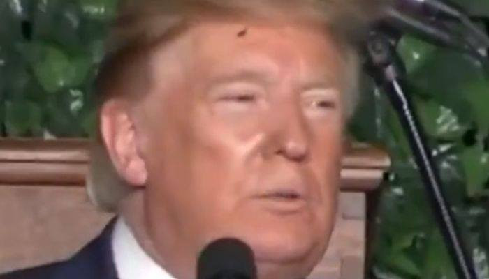 Пользователей соцсетей рассмешил жук в волосах Трампа во время выступления