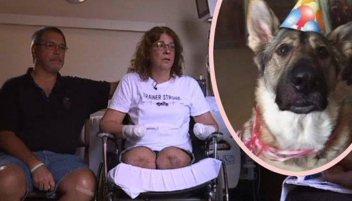 В Америке женщина от собаки заразилась инфекцией и потеряла все конечности