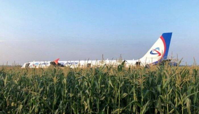 Пассажирский Airbus совершил посадку на кукурузное поле в Подмосковье