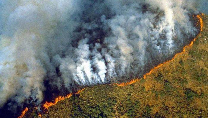 Бразилию застилает дым от горящих лесов Амазонии. Кто виноват в пожарах?