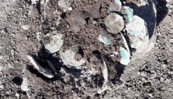 В Чехии случайно нашли клад золотых монет