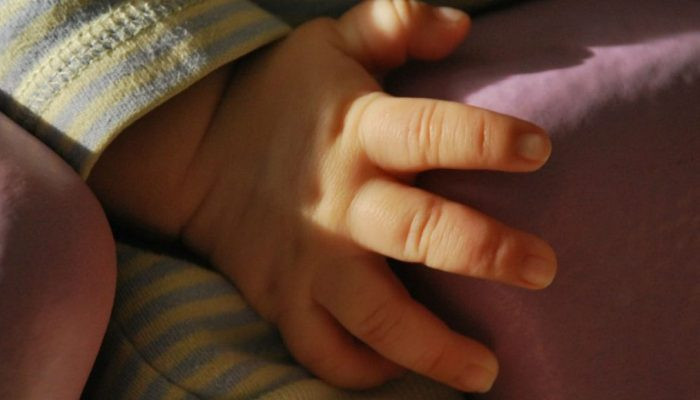 11 ամսական երեխան մեկ օրից ավելի միայնակ է մնացել սպանված ծնողների մարմինների մոտ