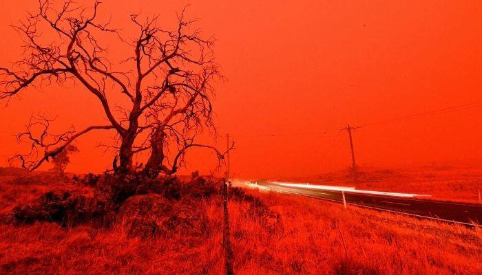 От лесных пожаров в Австралии погибли уже 24 человека